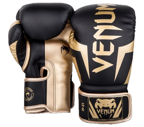 Venum Boxing gloves Elite Black/Gold