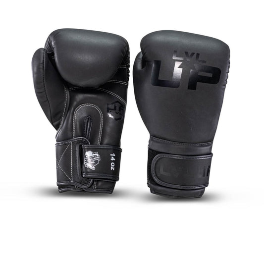 LVL-UP Boxing gloves BG 2 Black