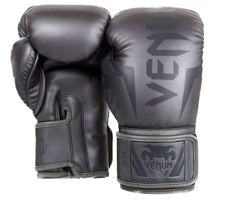 Venum Boxing Gloves Elite Grey/Grey