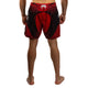 Venum Galactic 3.0 Fight Shorts Red/Silver