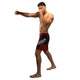 Venum Galactic 3.0 Fight Shorts Red/Silver