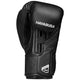 Hayabusa Boxing Gloves T3 Black/Black