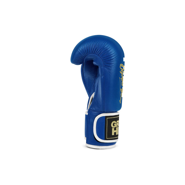 Green Hill Boxing gloves Tiger Blue