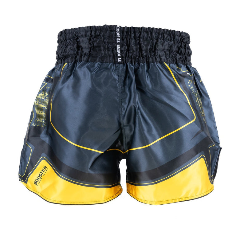 Booster Kickboxing shorts BFG Ignite 1