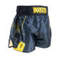 Booster Kickboxing shorts BFG Ignite 1