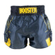 Booster Kickboxing shorts BFG Ignite 1