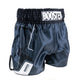 Booster Kickboxing Shorts BFG Ignite 2