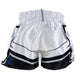 Booster Kickboxing Shorts BFG Ignite 3