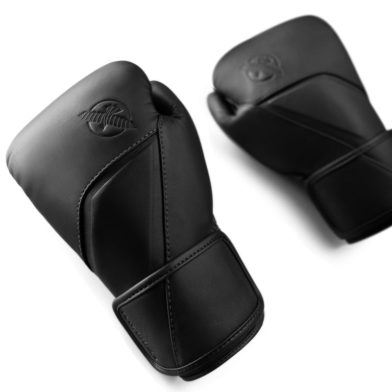Hayabusa Boxing gloves E1 Leather Onyx Black