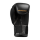 Hayabusa Boxing Gloves Kids E1 Black/Gold