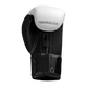 Hayabusa Boxing gloves Kids E1 White/Silver