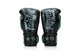 Fairtex Booster Boxing Gloves FXB BG V2 BK/GR/GY