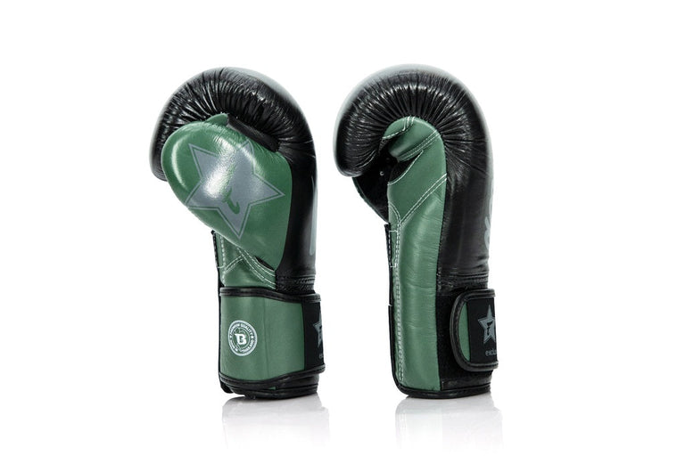 Fairtex Booster Boxing Gloves FXB BG V2 BK/GR/GY
