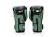 Fairtex Booster Boxing Gloves FXB BG V2 BK/GR/GY