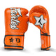 Fairtex Booster Boxing Gloves FXB BG V2 Orange
