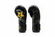 Fairtex Booster Boxing Gloves FXB BG V2 Black/Gold