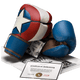 Hayabusa Boxing Gloves T3 Marvel's Captain America