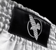 Hayabusa Muay Thai Shorts Core White