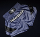 Hayabusa Muay Thai Shorts Core Blue