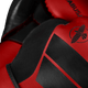 Hayabusa Boxing Gloves S4 Red