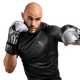 Hayabusa Boxing Gloves T3 Marvel's The Punisher