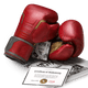 Hayabusa Boxing Gloves T3 Marvel's Iron Man