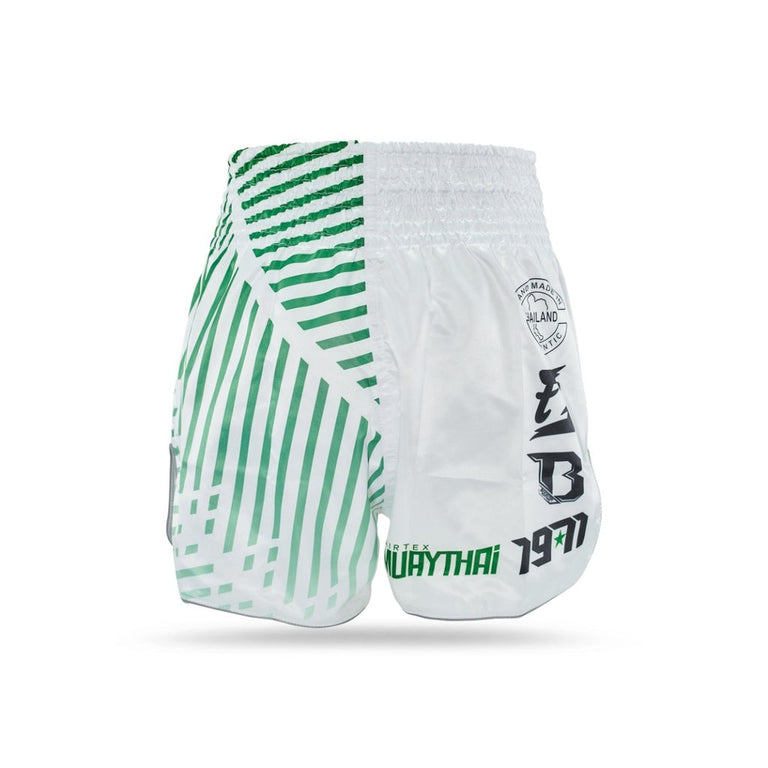 Kickboxing shorts Fairtex X Booster FXB TBT Racer