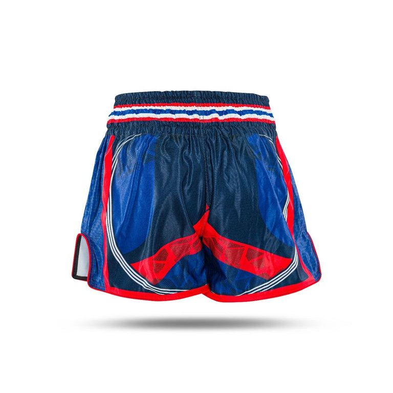 King Pro Boxing Kickboxing Shorts KPB Flag 2