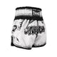 Twins Kickboxing Shorts TTBL Comic