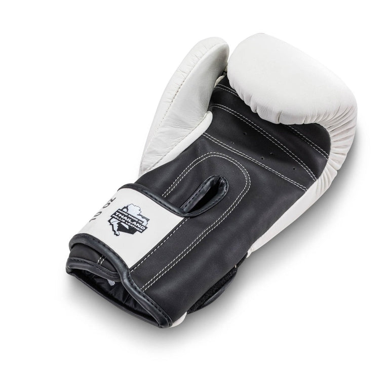 King Pro Boxing Boxing Gloves KPB/BGK-2