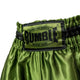 Rumble Kickboxing Shorts RS-101