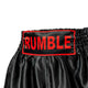 Rumble Kickboxing shorts RS-110