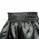 Rumble Kickboxing Shorts RS-34