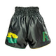 Rumble Kickboxing shorts RS-119 The Hague