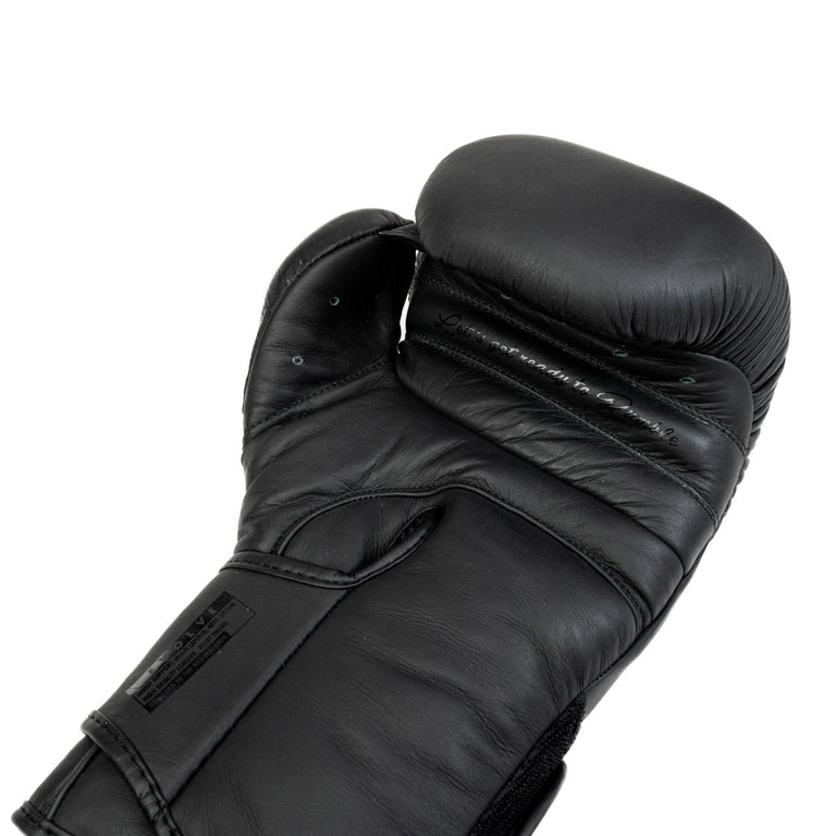 Rumble Boxing gloves Leather Evolve Black/Black
