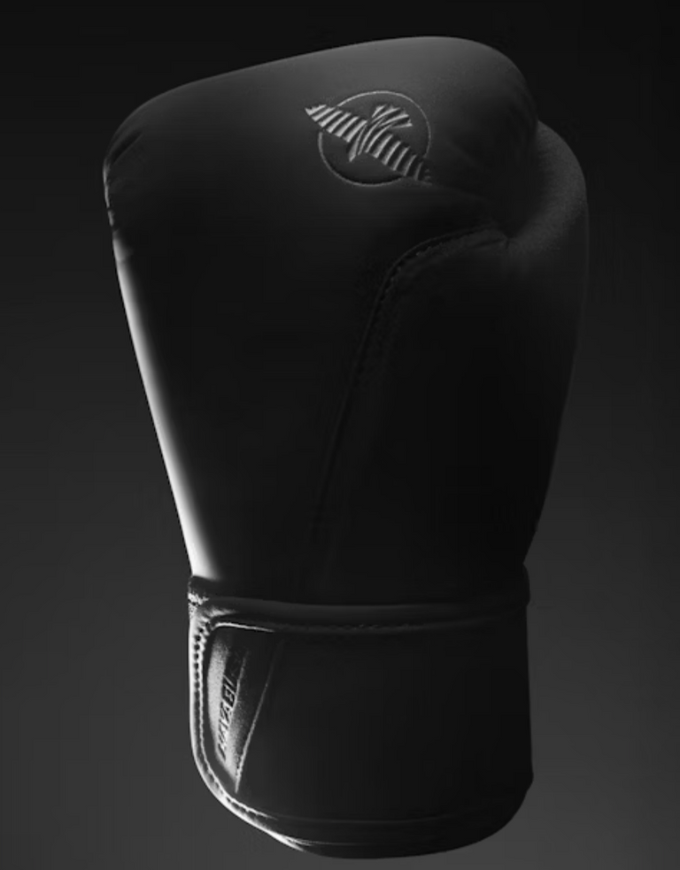 Hayabusa Boxing Gloves T360 Black