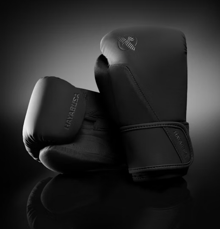 Hayabusa Boxing Gloves T360 Black