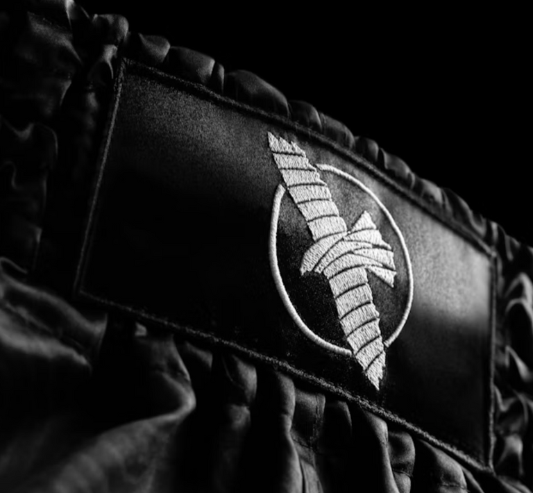 Hayabusa Muay Thai Shorts Core Black