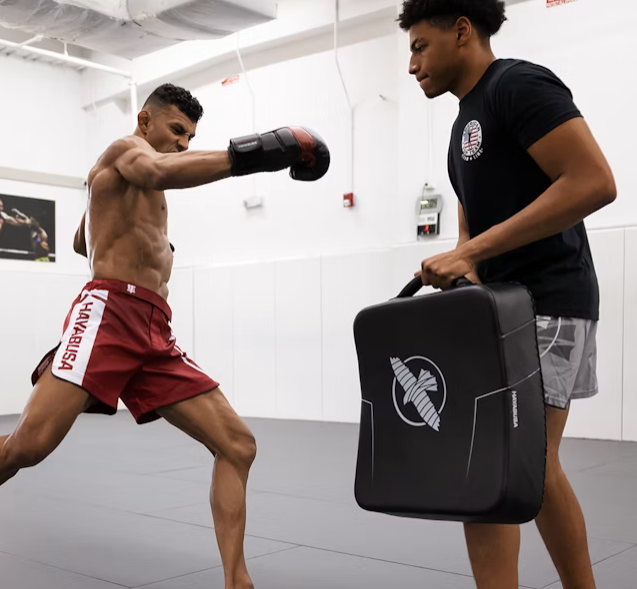 Hayabusa PTS 3 Kick Shield
