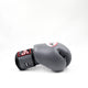 Twins Boxing gloves BGVL 3 Grey