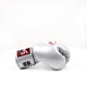 Twins Boxing Gloves BGVL 3 Silver