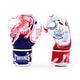 Twins Boxing Gloves FBGVL 4 Yant