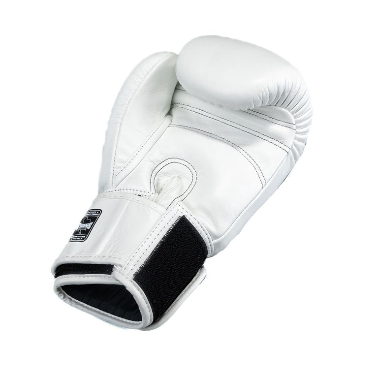 Twins Boxing Gloves BG-N V2 White