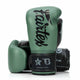 Fairtex Booster Boxing Gloves BG V2 GR-BK-BK