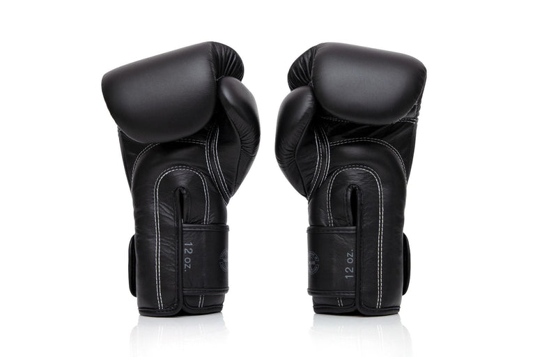 Fairtex Booster Boxing gloves FXB BG V2 Black