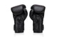 Fairtex Booster Boxing gloves FXB BG V2 Black