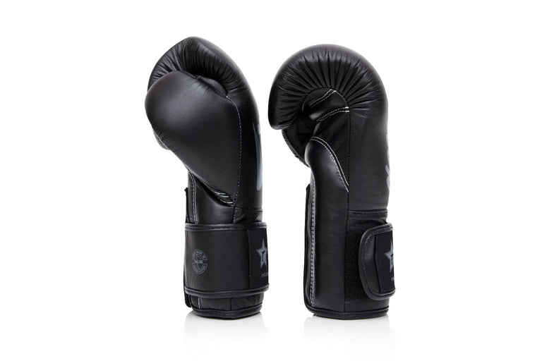 Fairtex Booster Boxing gloves FXB BG V2 Black