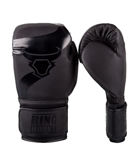 Ringhorns Boxing Gloves Charger Black/Black