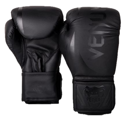 Venum Boxing Gloves Challenger Kids 2.0 Black/Black