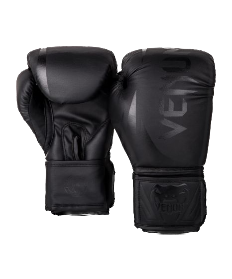 Venum Boxing Gloves Challenger Kids 2.0 Black/Black